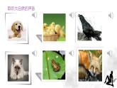 音樂 人音版（簡(jiǎn)譜）四年級(jí)上冊(cè)  歡樂谷 烏鴉與狐貍（課件）