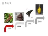 音樂(lè) 人音版（簡(jiǎn)譜）三年級(jí)上冊(cè) 第7課 編創(chuàng)與活動(dòng)（課件）