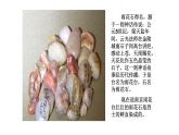 五年级下册音乐课件-1-唱歌-雨花石-沪教版(共17张PPT)