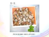 《吹响我的小芦笙》PPT课件免费下载