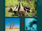 四年级下册音乐课件-1-聆听-给未来一片绿色-沪教版(共10张PPT)