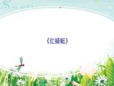 三年级上册音乐课件-5-唱歌-红蜻蜓-沪教版(共16张PPT)