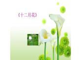 三年级上册音乐课件-3-唱歌-十二月花-沪教版(共17张PPT)