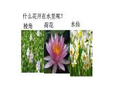 《中华人民国和国国歌》PPT课件免费下载