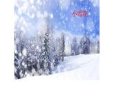 二年级上册音乐课件-6-唱一唱-雪花-沪教版(共20张PPT)