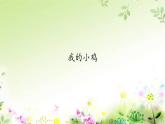 二年级上册音乐课件-5-听一听-我的小鸡-沪教版(共8张PPT)