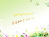 二年级上册音乐课件-5-听一听-我的小鸡-沪教版(共8张PPT)