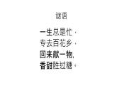 人音版二年级下册第3课飞呀飞 小蜜蜂课件