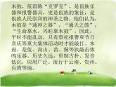 鼓乐传情 /   敲起我的小木鼓课件PPT