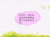碧野金山  / 小黄鹂鸟课件PPT
