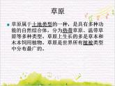 弦之歌  / 土拨鼠课件PPT