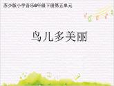 动感拉丁舞   / 鸟儿多美丽课件PPT