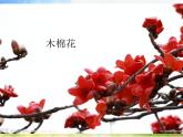 小学音乐《1唱着跳着走近你》PPT课件ppt课件