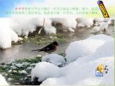 小学音乐《1春天的小河》PPT课件-(1)ppt课件
