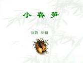 小学音乐《1小春笋》PPT课件ppt课件