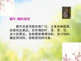 小学音乐课件-9《蜗牛》3-湘教版-(共9张PPT)ppt课件