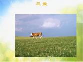 小學(xué)音樂課件-第二單元《天堂-》-人教新課標(biāo)--(共13張PPT)ppt課件