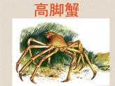 接力版音乐二年级上册第一单元游戏歌 （演唱）螃蟹歌 课件+素材