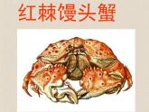 接力版音乐二年级上册第一单元游戏歌 （演唱）螃蟹歌 课件+素材