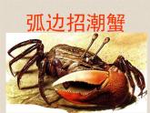 接力版音乐二年级上册第一单元游戏歌 （演唱）螃蟹歌 课件+素材