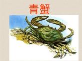 接力版音乐二年级上册第一单元游戏歌 （演唱）螃蟹歌 课件+素材