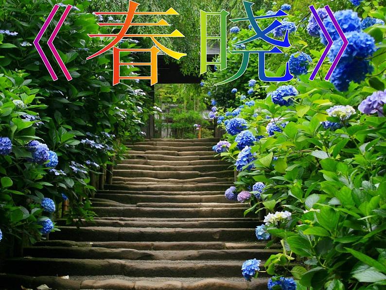 《春晓》课件第1页