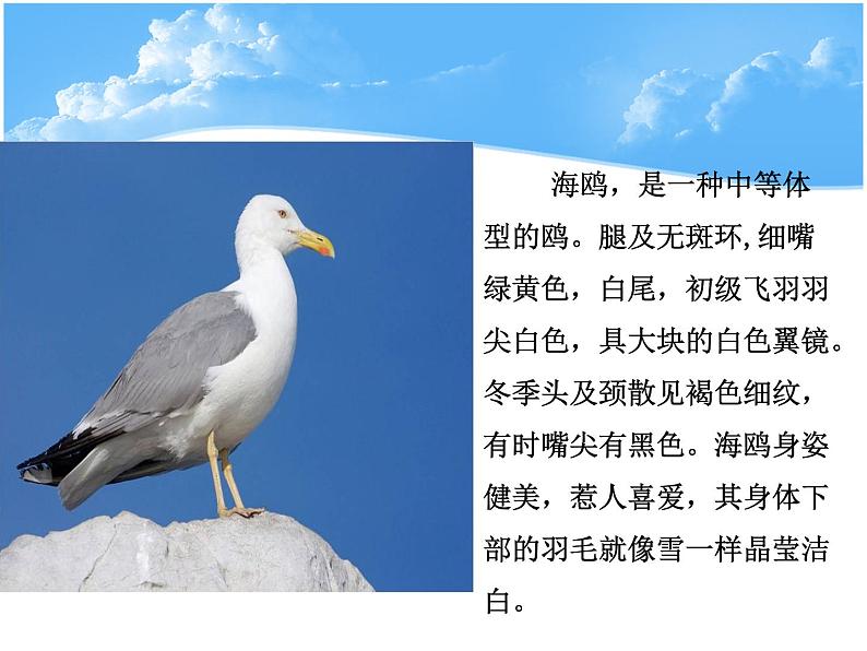 接力版音乐四年级下册第四单元欢乐童年 （演唱）海鸥 课件+素材03