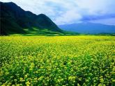 接力版音乐一年级上册第五单元山沟沟 （演唱）我的家在日喀则课件PPT