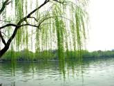 湘艺版音乐一年级下册第十一课 （演唱）小雨沙沙 课件  教案 (2)