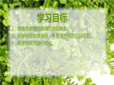 湘艺版音乐一年级下册第二课 （演唱）彝家娃娃真幸福 课件 教案 (6)