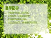 湘艺版音乐一年级下册第二课 （演唱）彝家娃娃真幸福 课件 教案 (6)