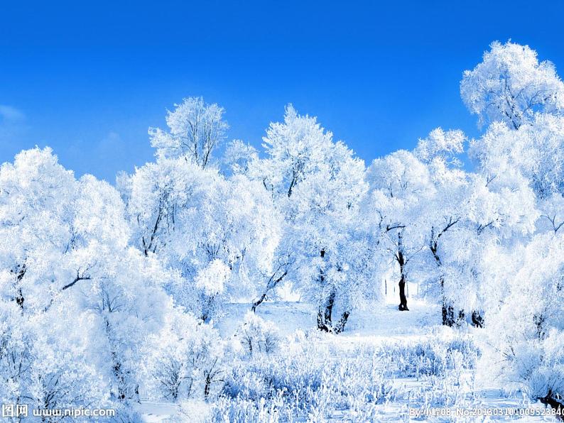 （演唱）欢乐的小雪花 课件 (2)第4页