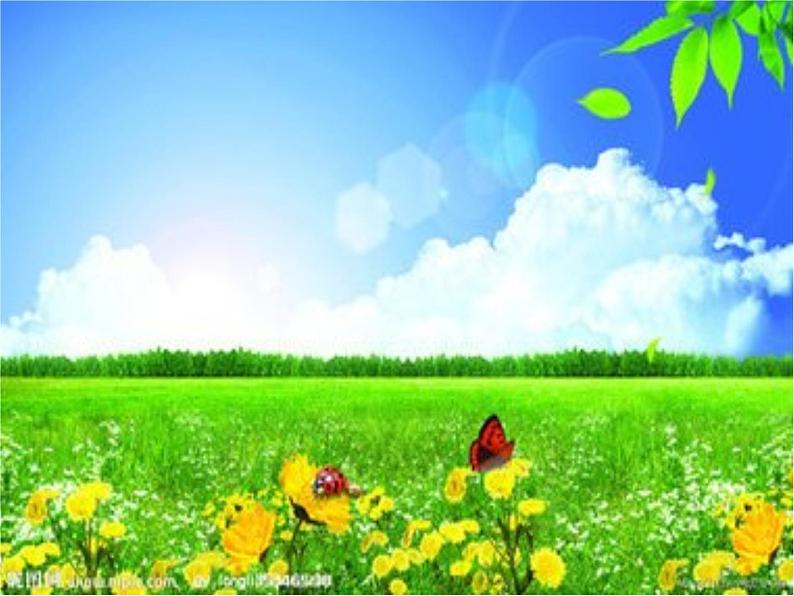 湘艺版音乐二年级下册第二单元 （歌表演）小乌龟飞上天 课件 教案 (2)05