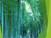 湘艺版音乐二年级下册第一课 （音乐知识）小节 小节线 终止线 课件 教案