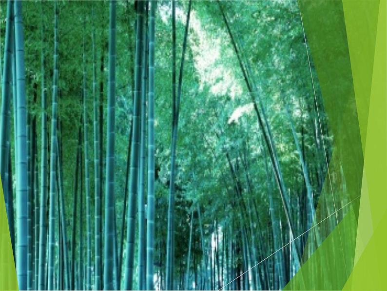 （音乐知识）小节 小节线 终止线 课件第2页