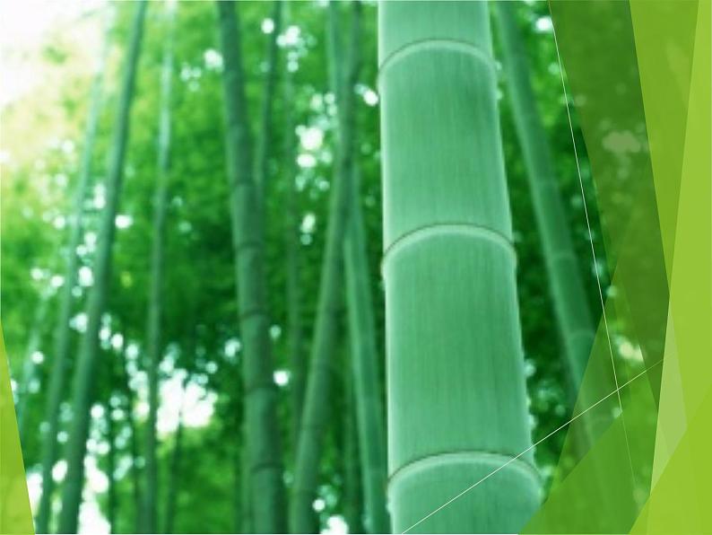 （音乐知识）小节 小节线 终止线 课件第3页