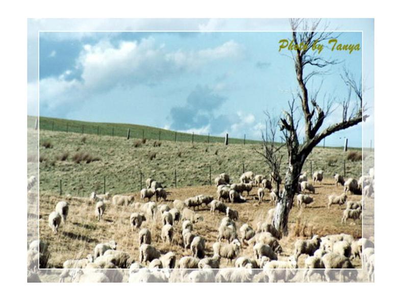 （演唱）牧羊女 课件 (2)第8页