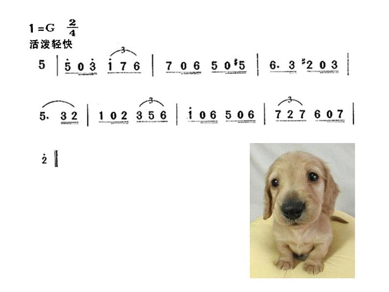 （听赏）口哨与小狗 课件第4页