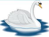 湘艺版音乐二年级下册第五课 （演唱）咏鹅 课件 教案 (2)
