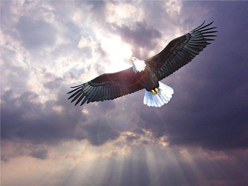 （演唱）多快乐呀多幸福 课件 (2)第7页