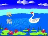 湘藝版音樂二年級下冊第五課 （演唱）詠鵝 課件 教案 (5)