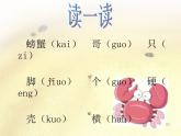 湘藝版音樂二年級下冊第九課 （歌表演）螃蟹歌 課件 教案