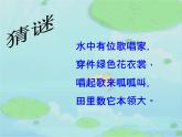 湘藝版音樂二年級下冊第九課 （演唱）數(shù)蛤蟆 課件 教案 (4)