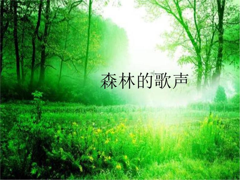 小学音乐湘艺版三年级上册森林的歌声多媒体教学课件ppt