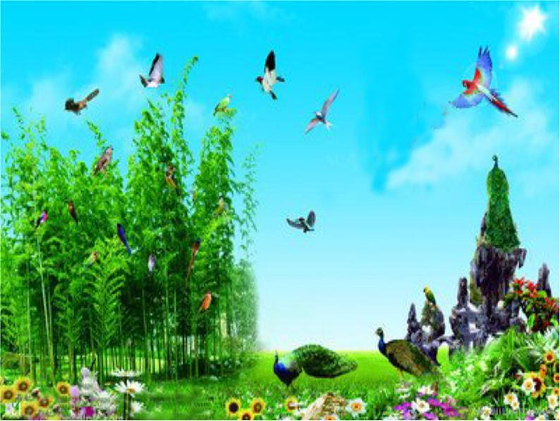 湘艺版音乐三年级上册第一课 （认识乐器）唢呐 课件 教案07