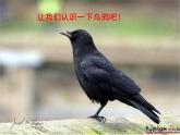 湘艺版音乐三年级上册第一课 （音乐游戏）小乌鸦爱妈妈 课件 教案 (2)