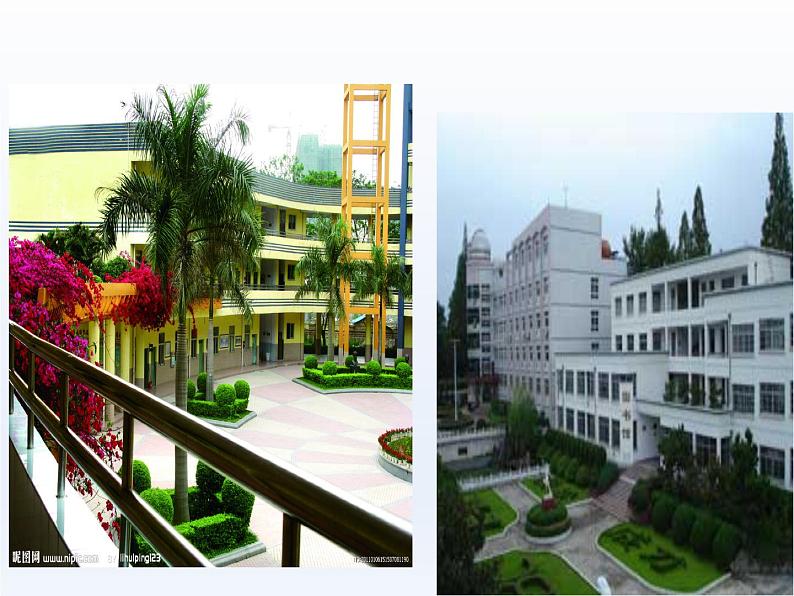 （演唱）读书郎 课件 (2)第6页