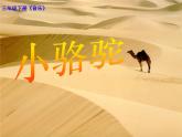 湘艺版音乐三年级下册第四课 （演唱）小骆驼 课件 教案