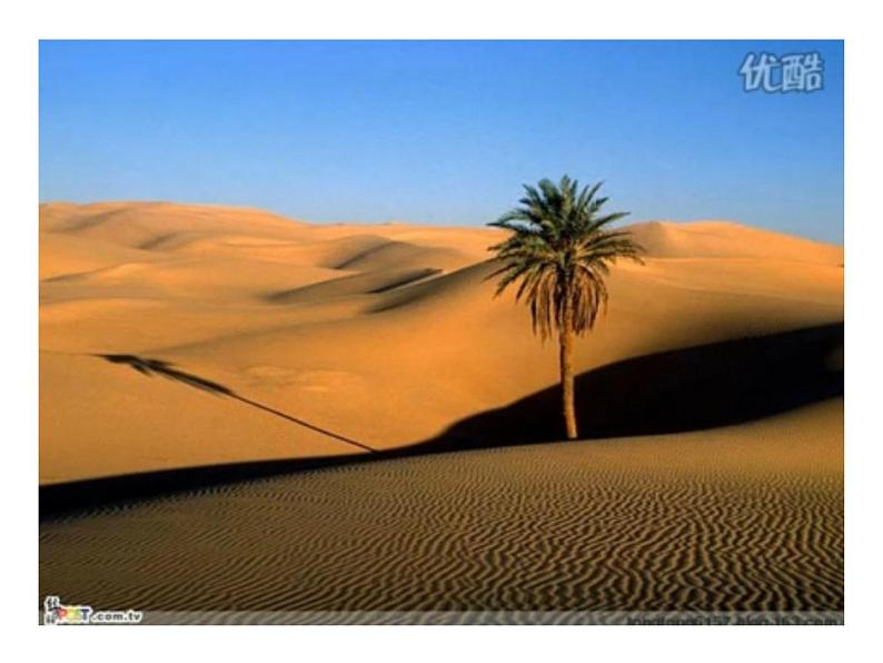 （演唱）小骆驼 课件 (3)第5页