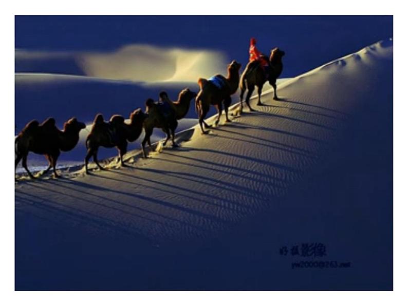 （演唱）小骆驼 课件 (3)第7页